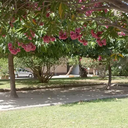 Dans Un Ecrin De Verdure דירה הייר