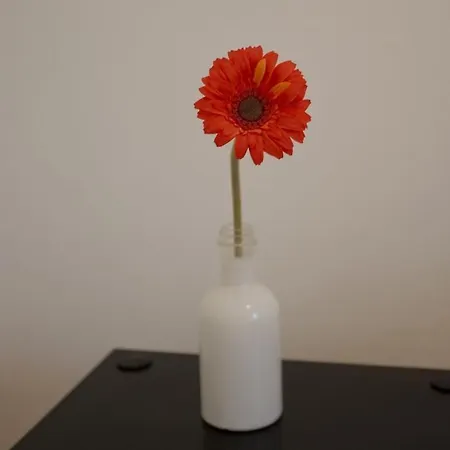 Appartement Calme, Clim, Patio Xxl, Piscine&parking Hyères
