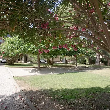 Calme, Clim, Patio Xxl, Piscine&parking Appartement Hyères