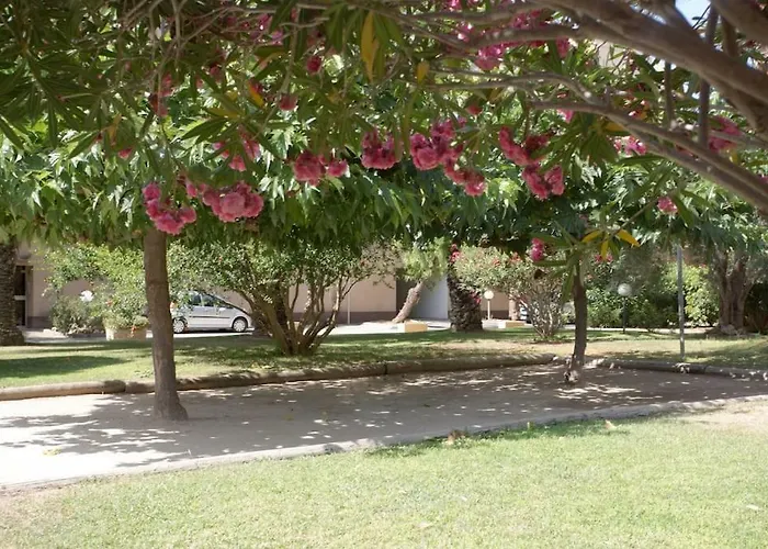 Dans Un Ecrin De Verdure Lejlighed Hyères